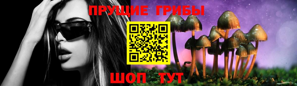 Псилоцибиновые грибы Psilocybe  Вход с VPN  Борисоглебск  Галлюциногенные грибы Psilocybe 